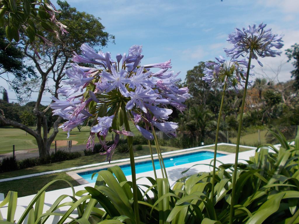 Coral Tree Colony Bed & Breakfast Саутбрум Экстерьер фото
